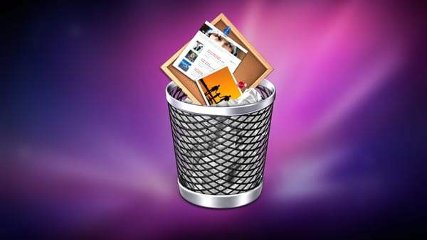 The iWeb logo in a rubbish bin